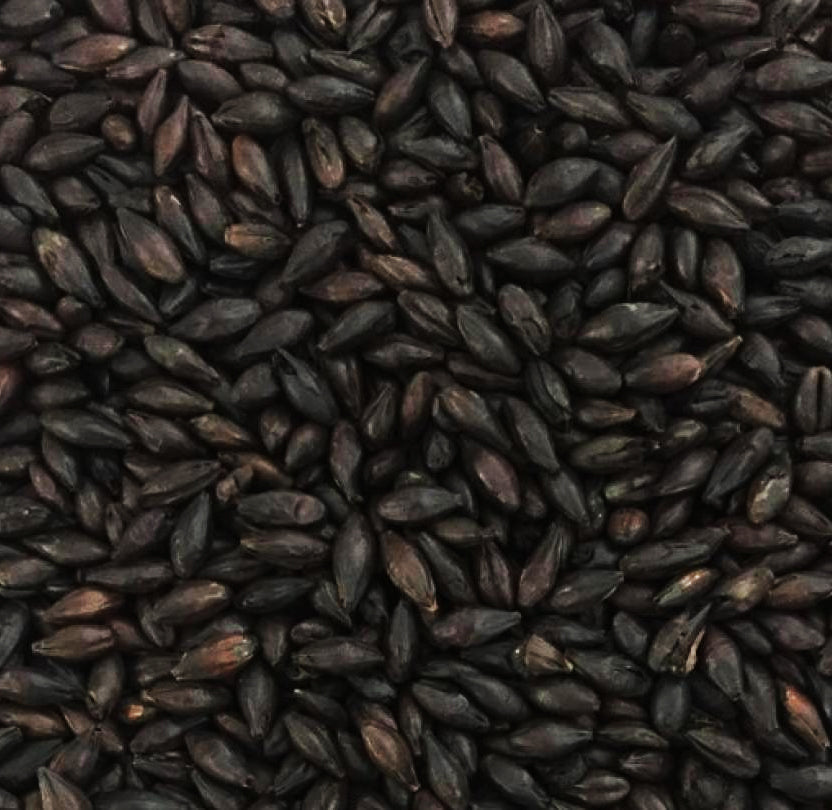 Blackswaen BS Barley (Roasted Barley)