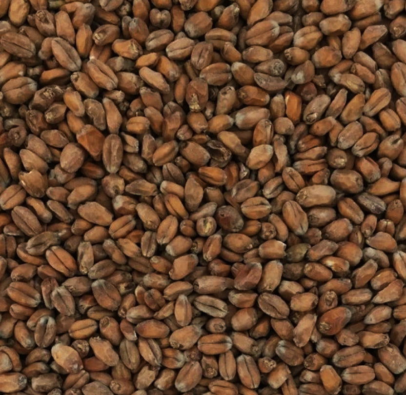 Malteurop Wheat